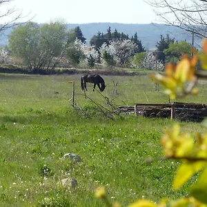Campagne De Saint Clair , Pertuis France